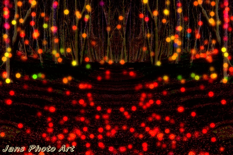 Strange Lights in the Woods